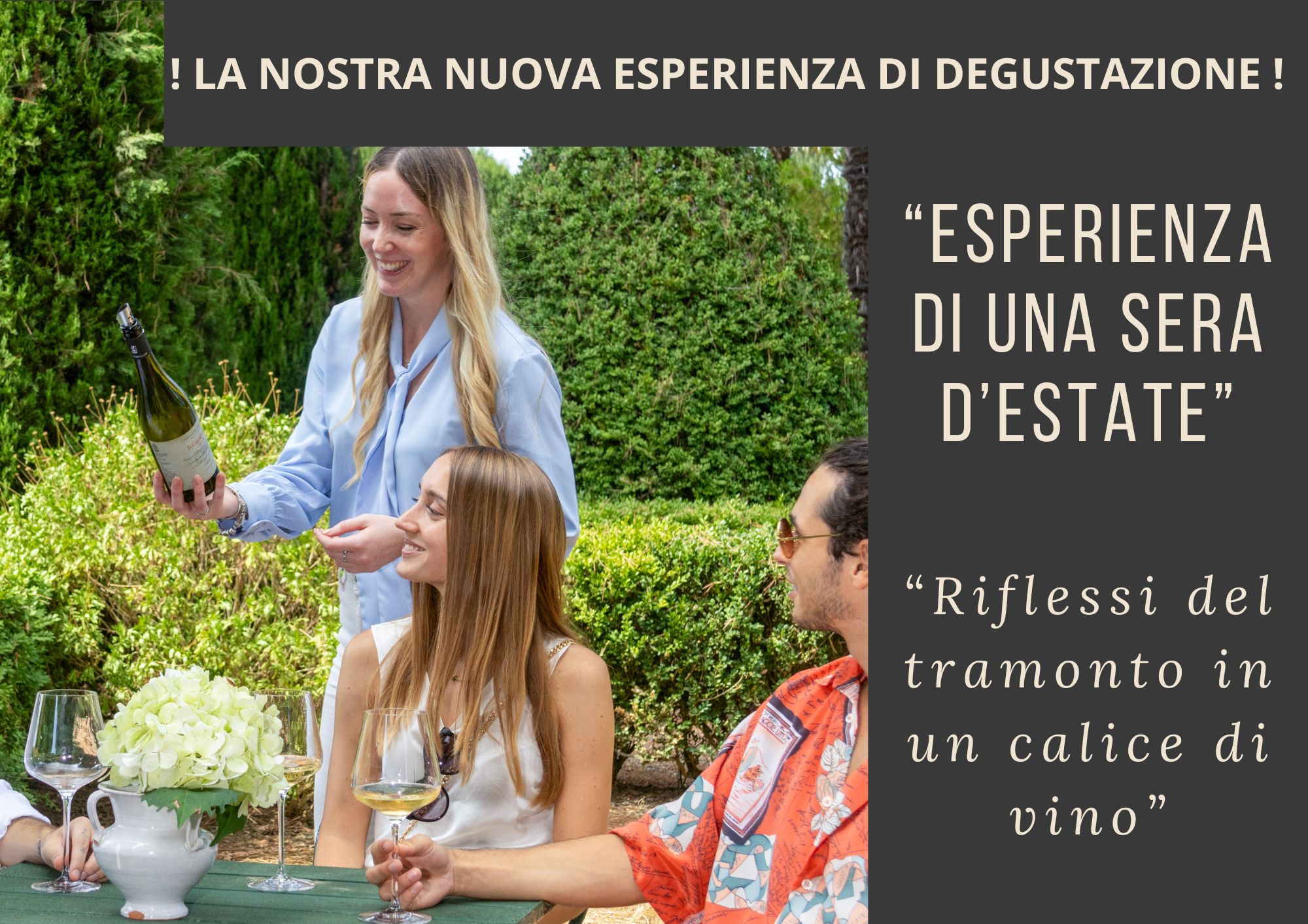 vivi-la-nostra-vendemmia
