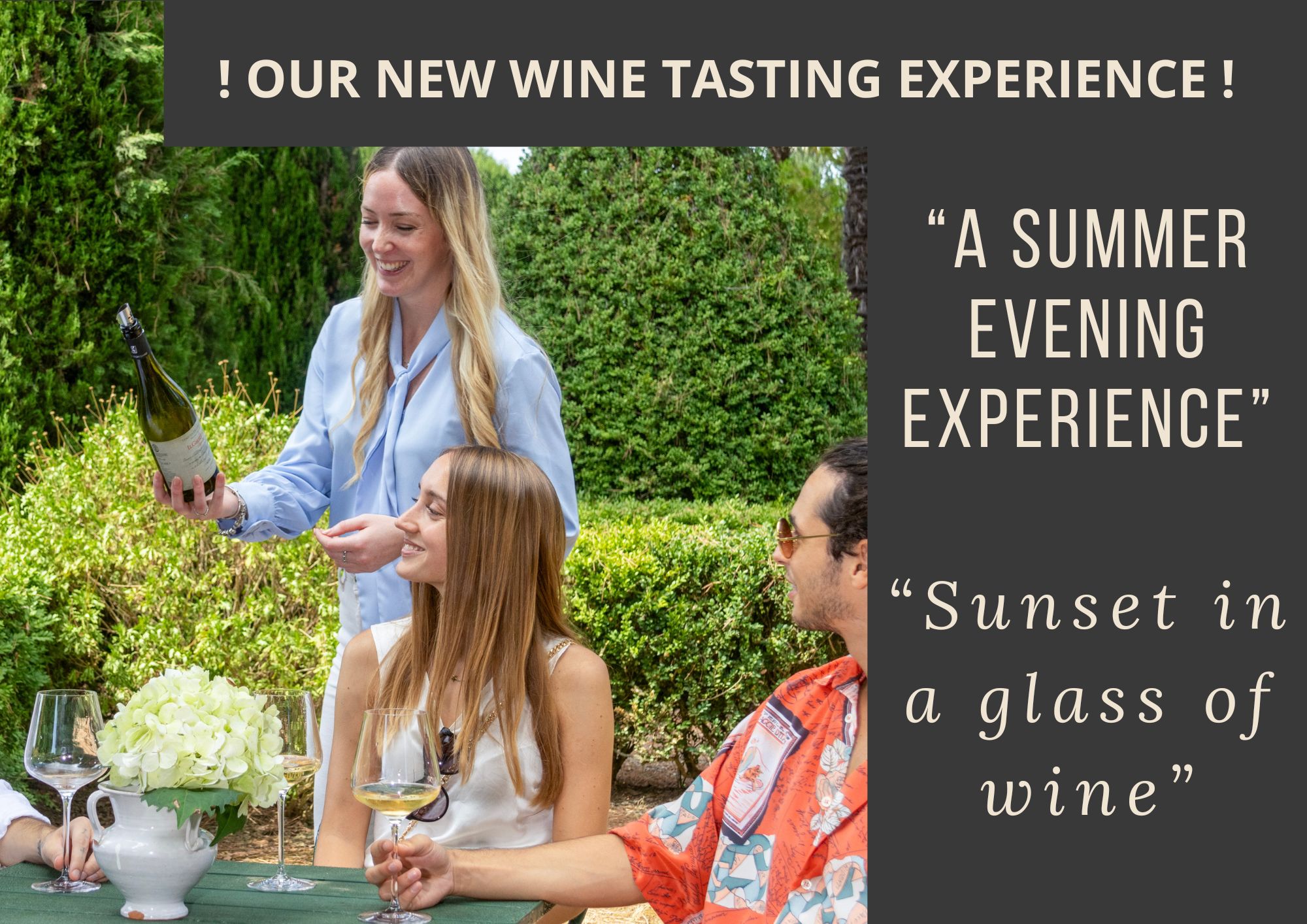 experience-our-2024-harvest